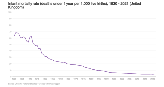Infant mortality image