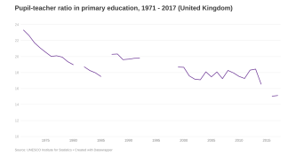 Pupil-teacher ratio in primary education image