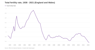 Total fertility rate image